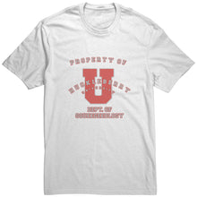 Outlaw Window Cleaner "Huckleberry University" T-shirt